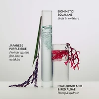 The Dewy Skin Cream Hydrating & Firming Refillable Moisturizer