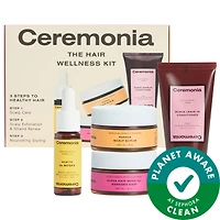 Mini Bestsellers Hair Wellness Set