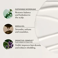 GRO+ Advanced Balancing Conditioner for Severe Signs of Thinning