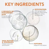 DermInfusions™ Blur + Repair Cream with Hyaluronic Acid and Peptides