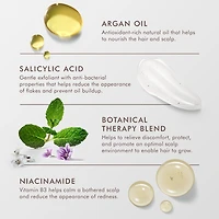 Shampooing équilibrant pour le cuir chevelu