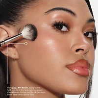 Illuminateur en poudre champagne doré Glow Seeker