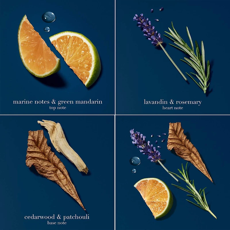 Acqua di Giò Profondo Eau de Parfum Spray with Mandarin & Patchouli
