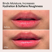 Plumping & Softening Sweet Agave Lip Balm Treatment