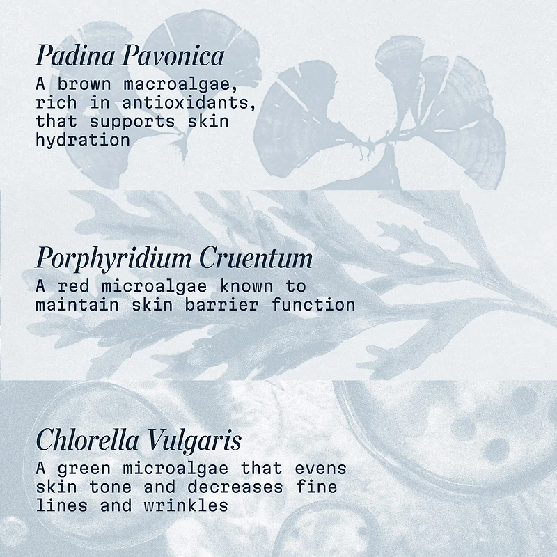 Pro-Collagen Anti Aging Marine Cream