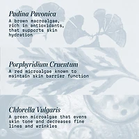 Pro-Collagen Anti Aging Marine Cream