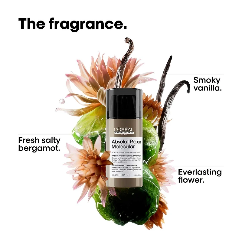 Crème capillaire sans rinçage Absolut Repair à réparation moléculaire pour cheveux abîmés