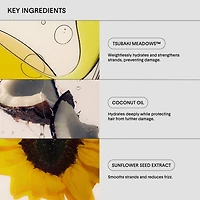 The Hydrating Conditioner pour cheveux secs et abîmés