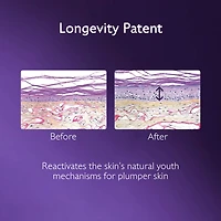 Premier Cru Anti-Aging Serum with Niacinamide and Hyaluronic Acid