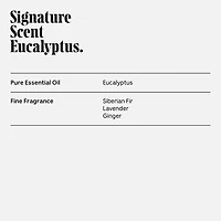 Eucalyptus Deodorant - Aluminum-Free Extra-Strength Mandelic Acid Deodorant