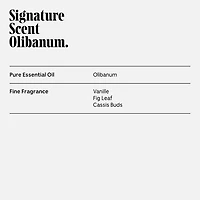 Olibanum Deodorant - Aluminum-Free Extra-Strength Mandelic Acid Deodorant
