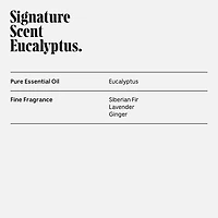 Eucalyptus Body Essentials Set - Trial + Travel