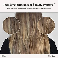 Mini Perfect hair Day (PhD)  Shampoo, Conditioner & Dry Shampoo Set