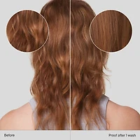 Shampooing volumisant Full