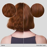 Shampoing réparateur Restore