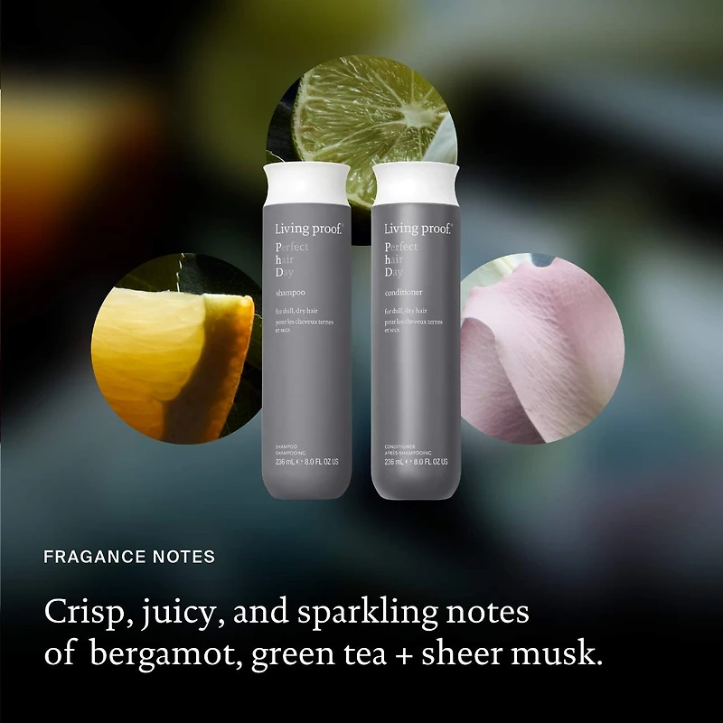 Shampoing hydratant Perfect Hair Day (PhD)