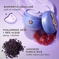 The Dewy Skin Cream Plumping & Hydrating Refillable Moisturizer