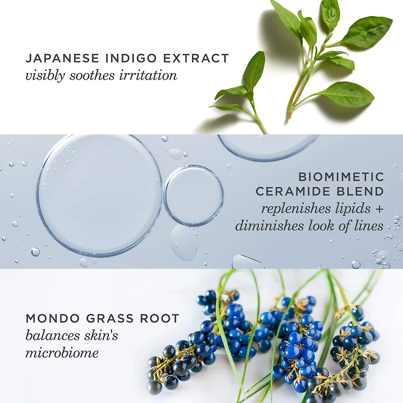 Crème protectrice de barrière qui réduit l’apparence des rougeurs Indigo Overnight Repair