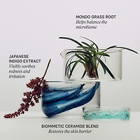 Indigo Overnight Repair Redness Reducing Barrier Cream Moisturizer