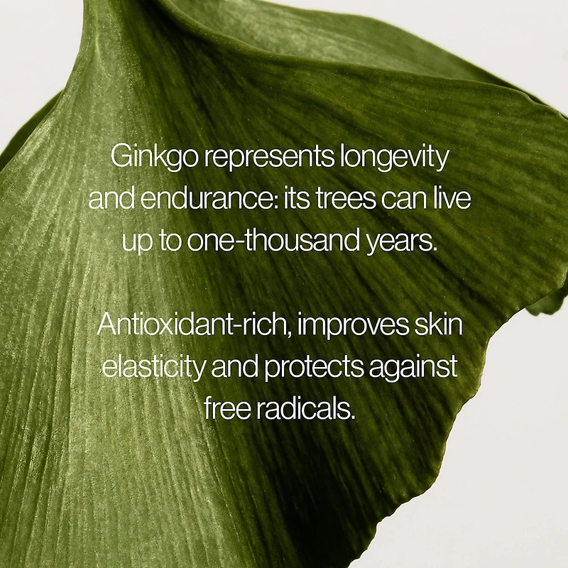 Ginkgo Light & Bouncy Water Cream Moisturizer