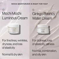 Ginkgo Light & Bouncy Water Cream Moisturizer