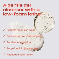 Bare Necessity Hyaluronic Acid Gentle Foaming Cleanser