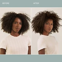 Willow Glen Pre-Wash Hair & Scalp Oil