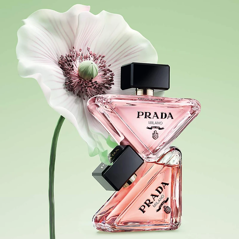 Mini Paradoxe Discovery Set