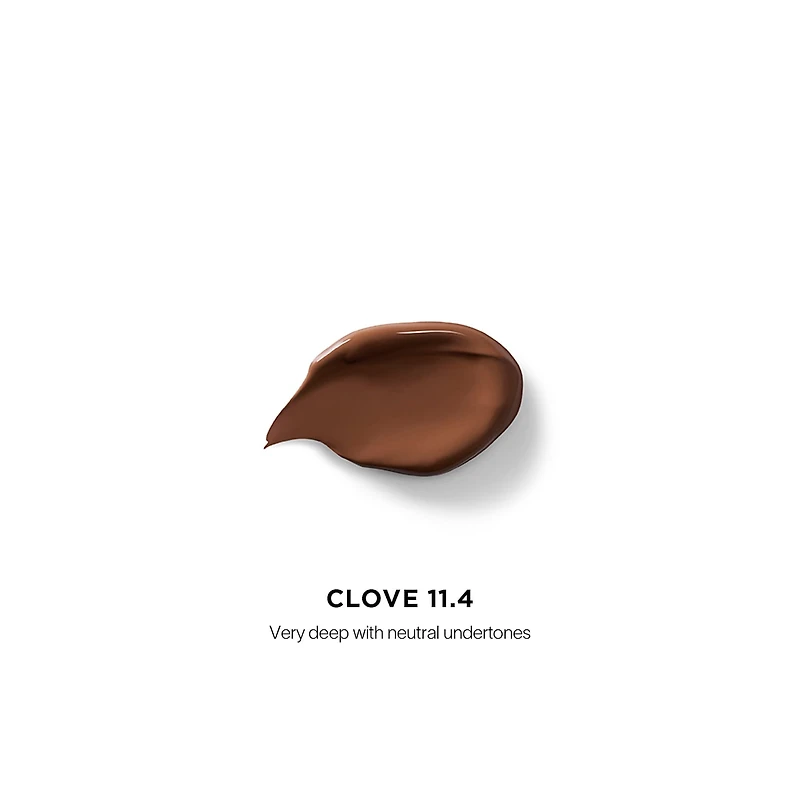 Vanish™ Airbrush Concealer