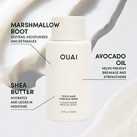 Thick Hair Conditioner