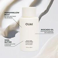 Thick Hair Conditioner