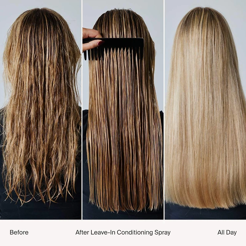 Leave-In Conditioner & Detangler Spray