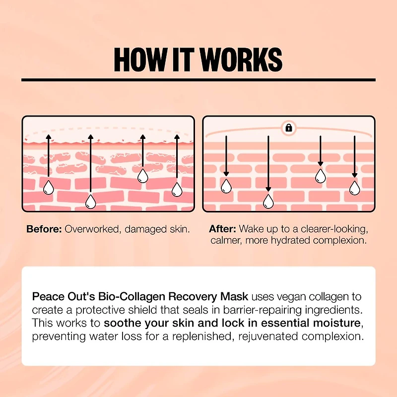 Overnight Barrier Hydrating Bio-Collagen Recovery Mask