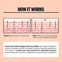 Overnight Barrier Hydrating Bio-Collagen Recovery Mask