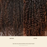Healthy Hair Starter Set