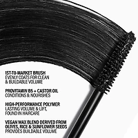 Master Mascara™ Volumizing & Lift