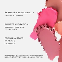 – Bâton de fard à joues et lèvres crème Baby Cheeks