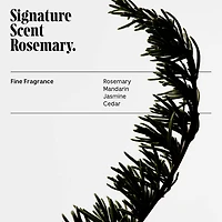 Rosemary Conditioner For Thinning Hair