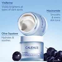 Vinoperfect Brightening Refillable Moisturizer with Niacinamide