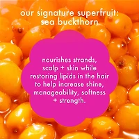 Forget Frizz Anti-Frizz Shampoo