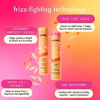 Forget Frizz Anti-Frizz Shampoo