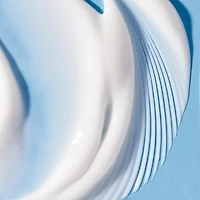 Hydrate & Bounce Moisturizer Duo