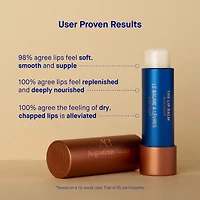 The Lip Balm