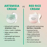 Artemisia Soothing Gel Cream Moisturizer with Centella Asiatica and Niacinamide
