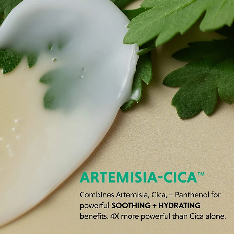 Artemisia Soothing Gel Cream Moisturizer with Centella Asiatica and Niacinamide