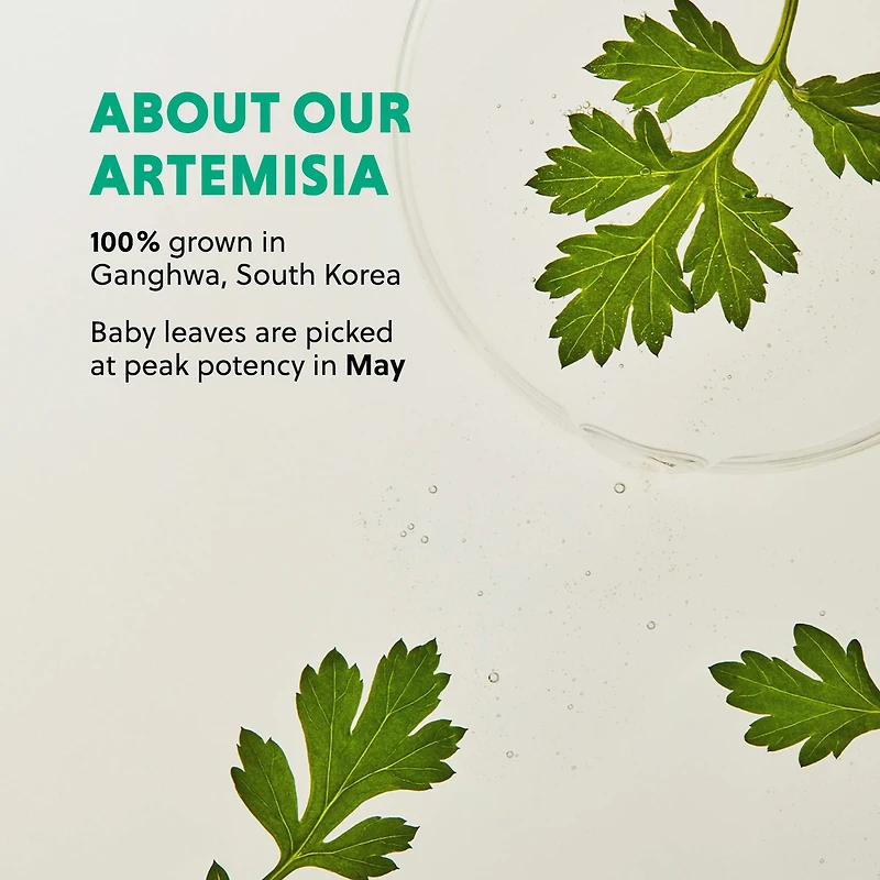 Artemisia Soothing Gel Cream Moisturizer with Centella Asiatica and Niacinamide