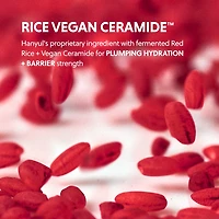 Red Rice Hydrating Cream with Ceramide