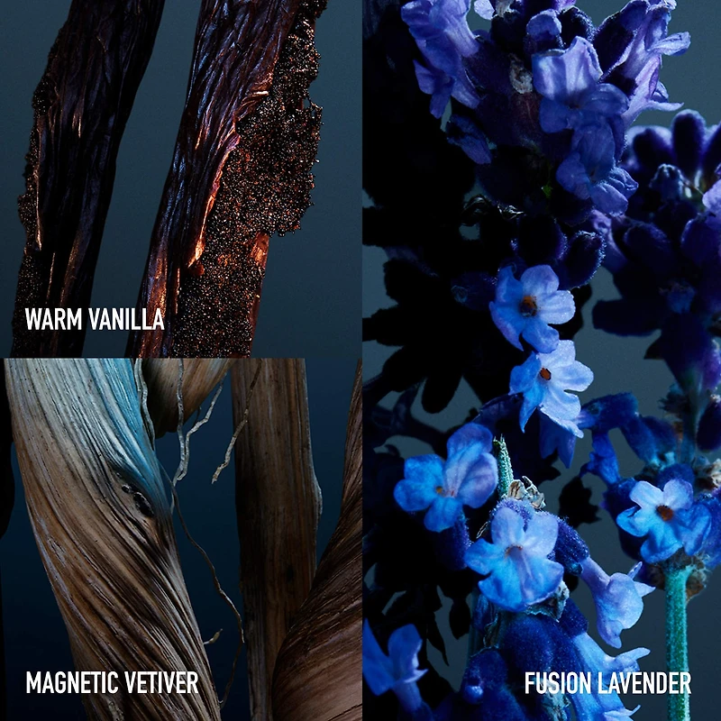 Phantom Parfum with Woody Vanilla Bean
