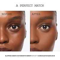 Skin Fetish: Sublime Perfection Blurring Under Eye Powder