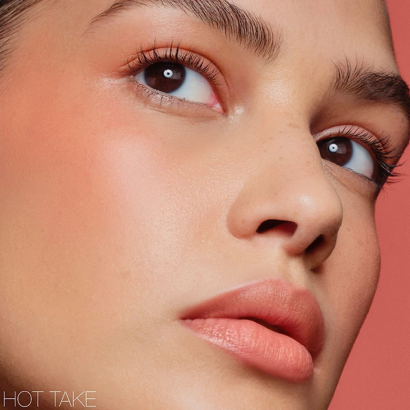 The Multiple Soft Blur Blush Stick for Cheeks, Eyes and Lips